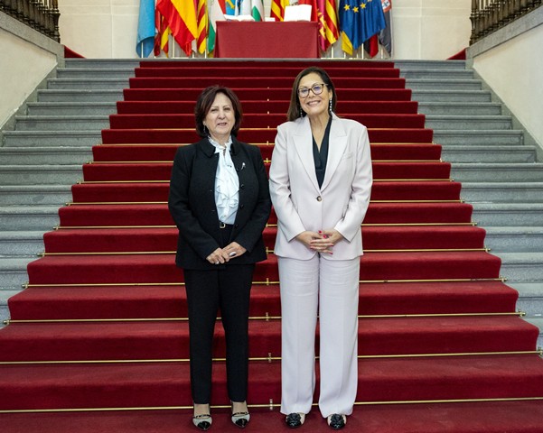 El proyecto de Ley Orgánica de Enjuiciamiento Criminal (II)