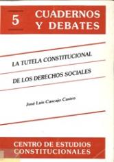 La tutela constitucional de los derechos sociales