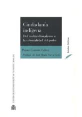 Ciudadanía indígena. Del multiculturalismo a la colonialidad del poder