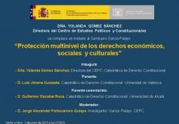 Seminario García Pelayo: "Protección multinivel de los derechos económicos, sociales y culturales"