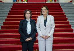 El proyecto de Ley Orgánica de Enjuiciamiento Criminal (II) 1