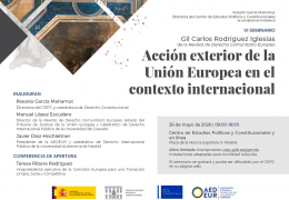VI Seminario Gil Carlos Rodríguez Iglesias de la Revista de Derecho Comunitario Europeo "Acción Exterior de la Unión Europea en el contexto internacional actual"