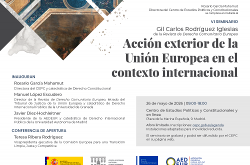 VI Seminario Gil Carlos Rodríguez Iglesias de la Revista de Derecho Comunitario Europeo "Acción Exterior de la Unión Europea en el contexto internacional actual"