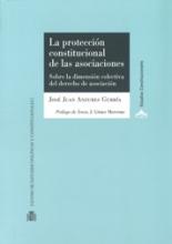 La protección constitucional de las asociaciones. Sobre la dimensión colectiva del derecho de asociación