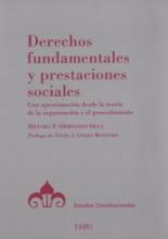 Derechos fundamentales y prestaciones sociales. Una aproximación desde la teoría de la organización y el procedimiento